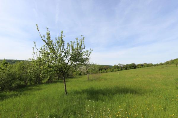 Terrain à vendre de 4 015,00 m² dont 870 m² constructibles LA BUSSIERE SUR OUCHE (21)