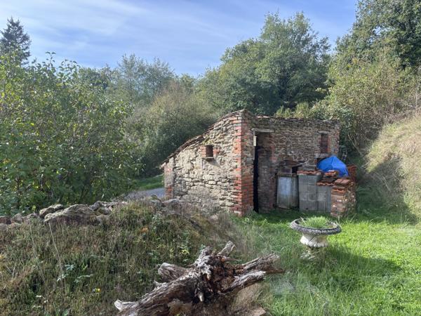 Bellenaves – Ferme authentique sur un terrain de 1,8 hectare Bellenaves (03330)