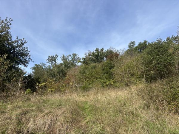 Bellenaves – Ferme authentique sur un terrain de 1,8 hectare Bellenaves (03330)