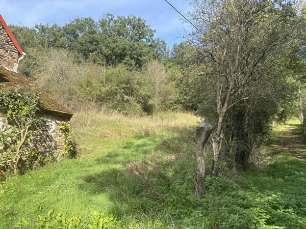 Bellenaves – Ferme authentique sur un terrain de 1,8 hectare Bellenaves (03330)