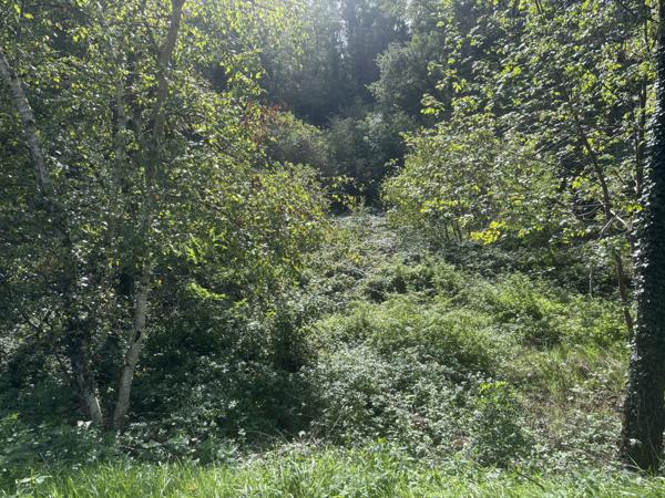 Bellenaves – Ferme authentique sur un terrain de 1,8 hectare Bellenaves (03330)