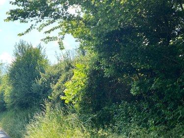 Terrain de loisirs - Bois - Etang à vendre à Valorbiquet dans le Calvados (14290), ref : 14058-1496