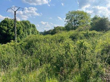 Terrain de loisirs - Bois - Etang à vendre à Valorbiquet dans le Calvados (14290), ref : 14058-1496