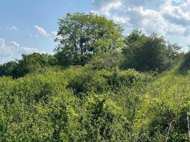 Terrain de loisirs - Bois - Etang à vendre à Valorbiquet dans le Calvados (14290), ref : 14058-1496