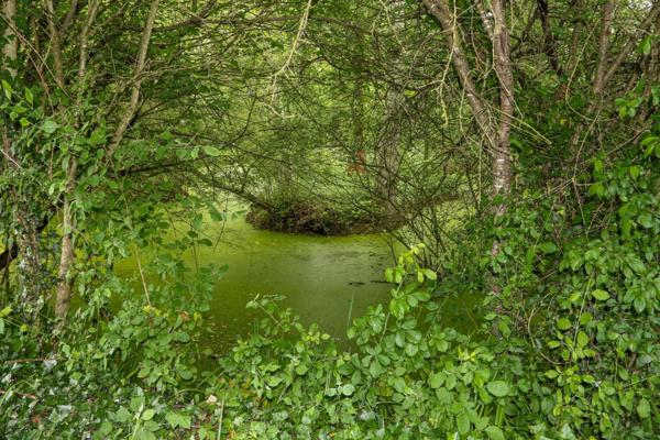 Propriété équestre