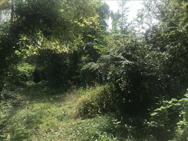 Maison à vendre |  Blou |  5 pièces | 92 m²