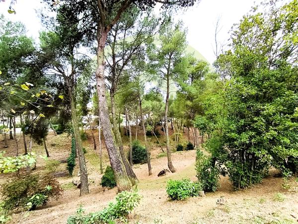 Maison à MONTPELLIER (34080)