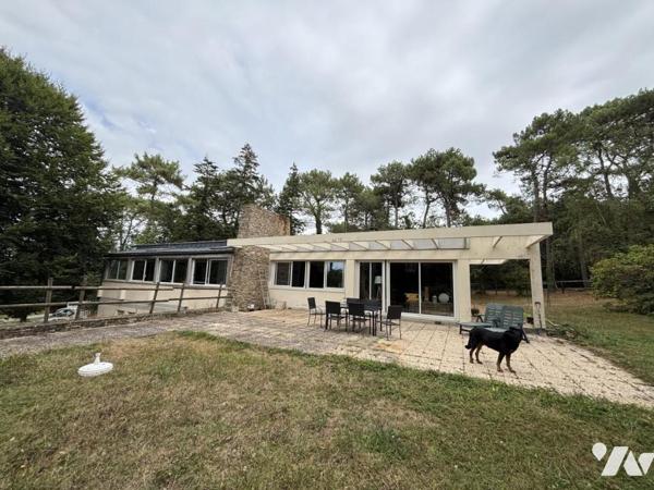 PLOEMEUR - KERVINIO - Maison de 230 m² avec installation équestre et hangar sur terrain de 17 440 m²