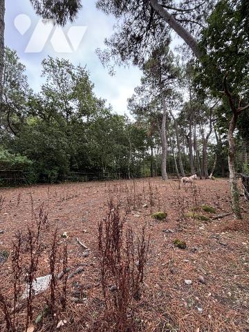PLOEMEUR - KERVINIO - Maison de 230 m² avec installation équestre et hangar sur terrain de 17 440 m²