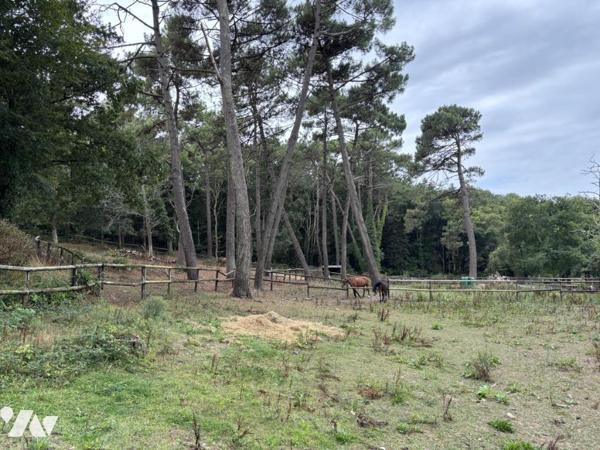 PLOEMEUR - KERVINIO - Maison de 230 m² avec installation équestre et hangar sur terrain de 17 440 m²