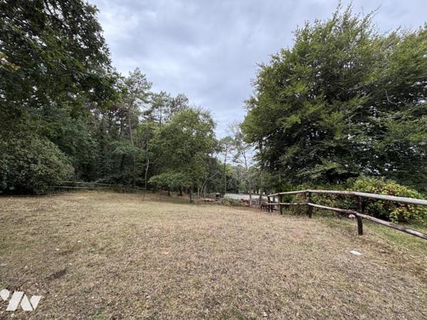 PLOEMEUR - KERVINIO - Maison de 230 m² avec installation équestre et hangar sur terrain de 17 440 m²