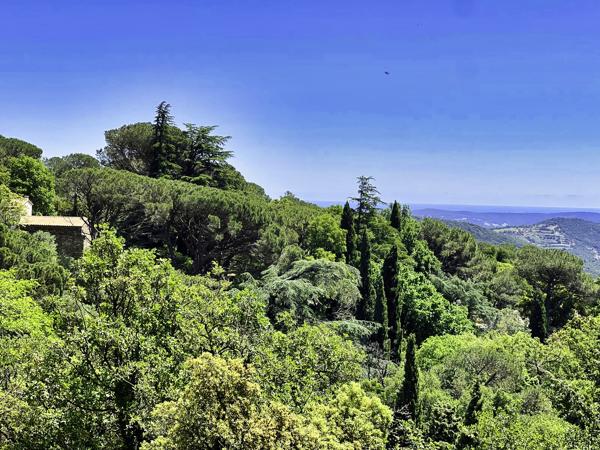 Terrain à vendre à La Garde-Freinet (83680) - Var