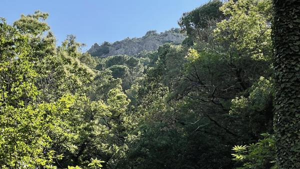 Terrain à vendre à La Garde-Freinet (83680) - Var