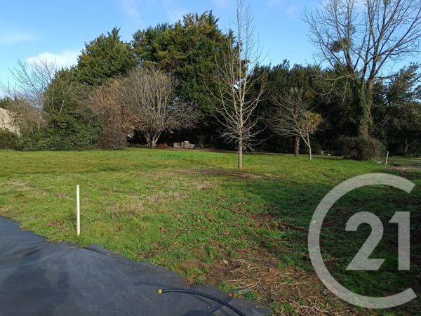Terrain à vendre  465 m 2   ST PIERRE D OLERON  - 17