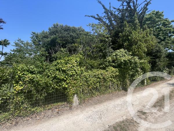 Terrain à vendre  465 m 2   ST PIERRE D OLERON  - 17
