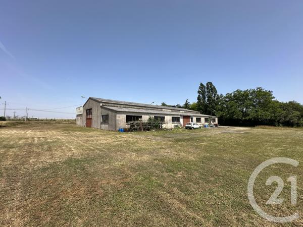 à vendre  950 m2 ST MAUR - 36