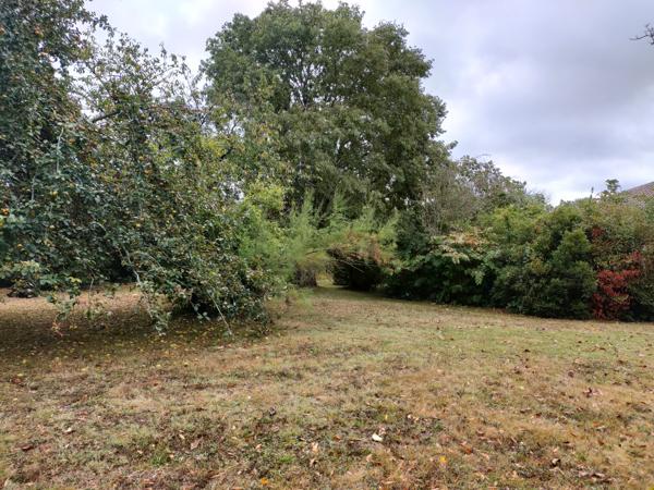 Maison à vendre à Marciac (32230) - Gers