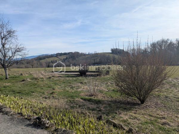 Terrain de 1 007 m²