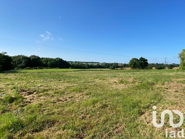 Terrain à vendre 1 000 m² Les Herbiers