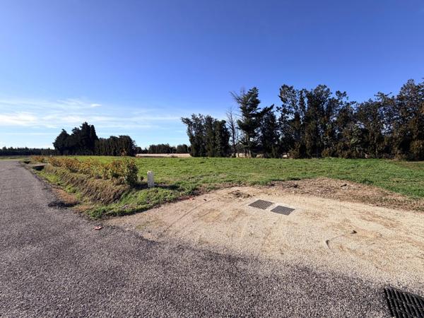 L'Isle-sur-la-Sorgue (84800) TERRAIN A BATIR VIABILISE