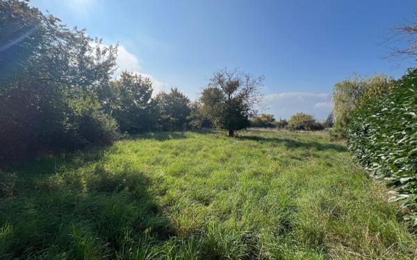 Terrain à vendre    Sourcieux-les-Mines
