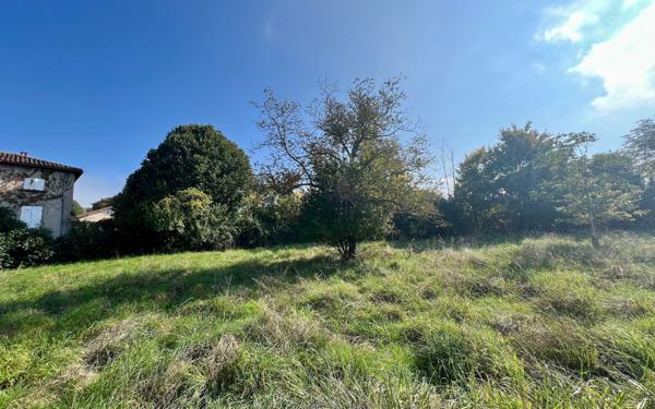 Terrain à vendre    Sourcieux-les-Mines