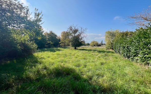 Terrain à vendre    Sourcieux-les-Mines