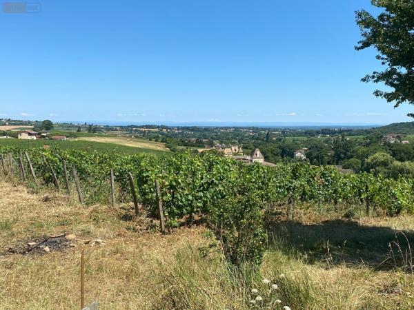 Maison à vendre à Davayé en Saône-et-Loire (71960), ref : MA 664