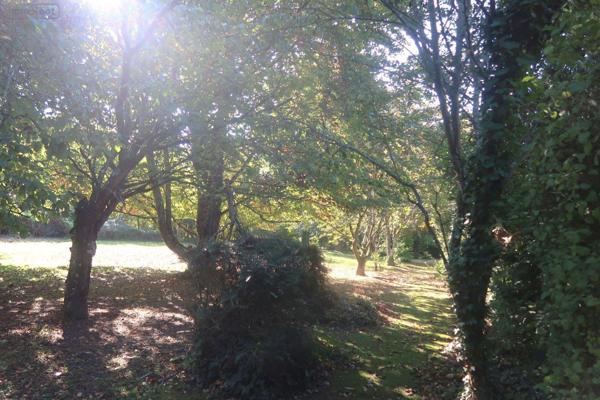 Maison rurale à vendre à Colombiers dans la Vienne (86490), ref : 86024-MAIS2333   
campagne