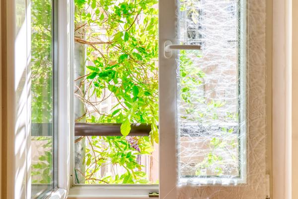 Appartement exceptionnel Strasbourg-Krutenau