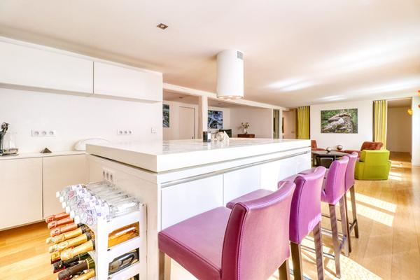 Appartement exceptionnel Strasbourg-Krutenau