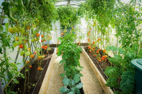 Château d'Exception en Bourgogne