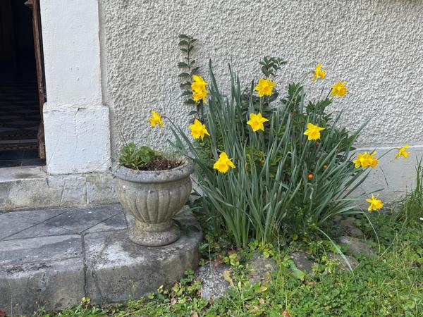 Maison de maître à fort potentiel !