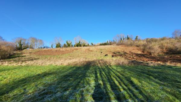 Maison Villers Bocage 8 pièce(s) 198 m2