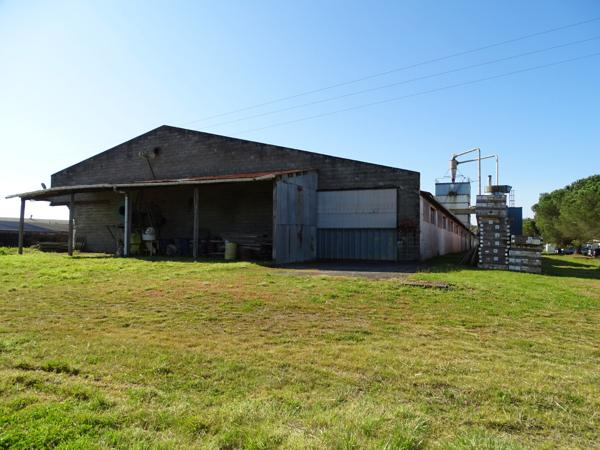 Vente murs / Local Industriel / Bâtiment