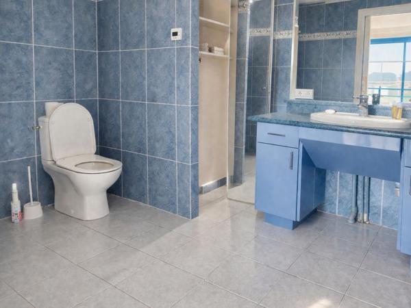 Appartement d'exception avec vue sur la Vézère - Centre-ville de Terrasson-Lavilledieu (24120) 5 pièce(s) 116 m2