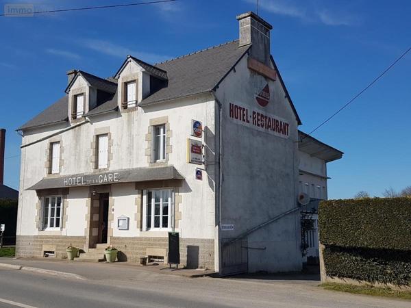 Local mixte (Professionnel/Habitation) à vendre à Val-d'Oust dans le Morbihan (56460), ref : 56050-501