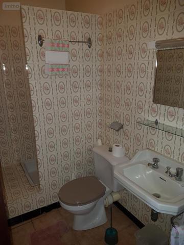 Local mixte (Professionnel/Habitation) à vendre à Val-d'Oust dans le Morbihan (56460), ref : 56050-501