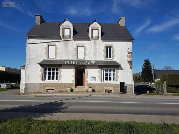 Local mixte (Professionnel/Habitation) à vendre à Val-d'Oust dans le Morbihan (56460), ref : 56050-501