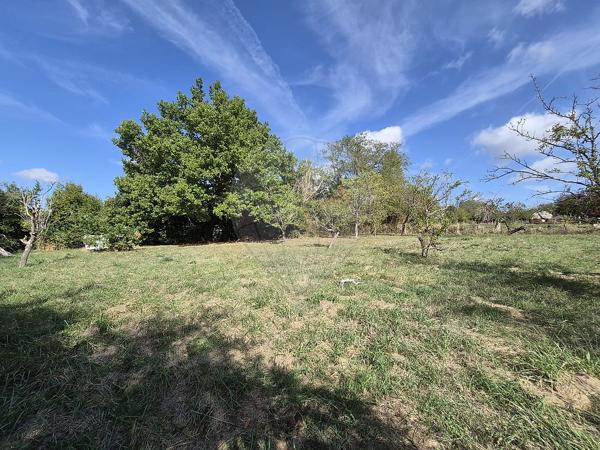 Terrain à vendre - Boulleret, Cher - 18
