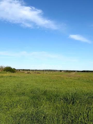 GARAGE SPACIEUX ET FONCTIONNEL