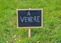 Terrain - 555 m²