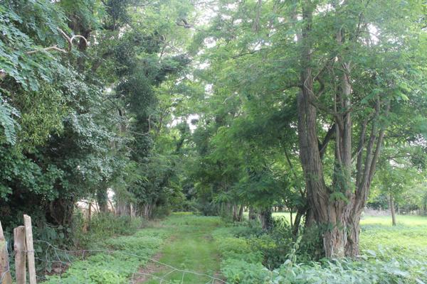 Maison à COULOMBIERS, 72130 - 4 pièces 126m²
