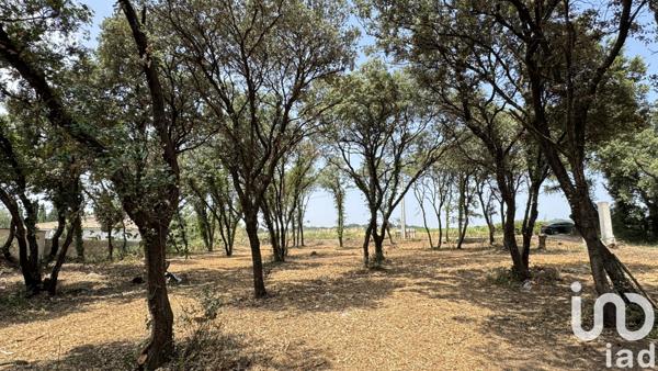 Terrain à vendre 820 m² Bédarrides
