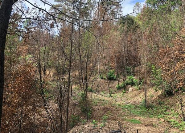 Terrain à vendre    59 201 m2 Bessèges