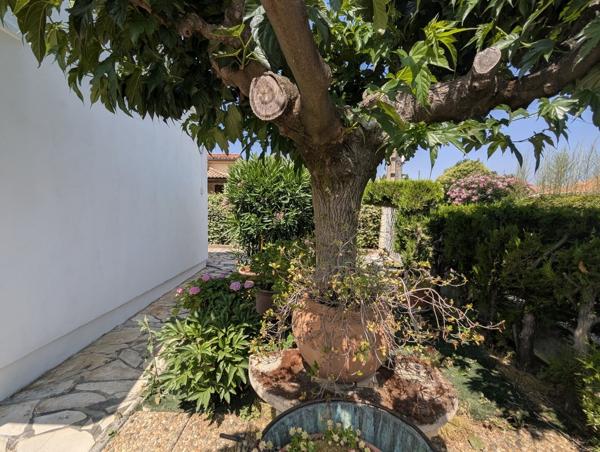 Villa plain pied avec garage et jardin dans le village au calme