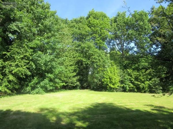 Achat - Terrain à bâtir Carhaix-Plouguer 29270 1651 m 2