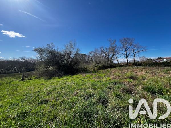 Terrain à vendre 844 m² Arcangues