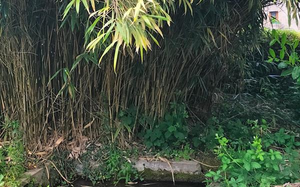 Maison à vendre    4 pièces • 168 m2 Chénérailles