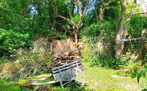 Maison à vendre    4 pièces • 168 m2 Chénérailles